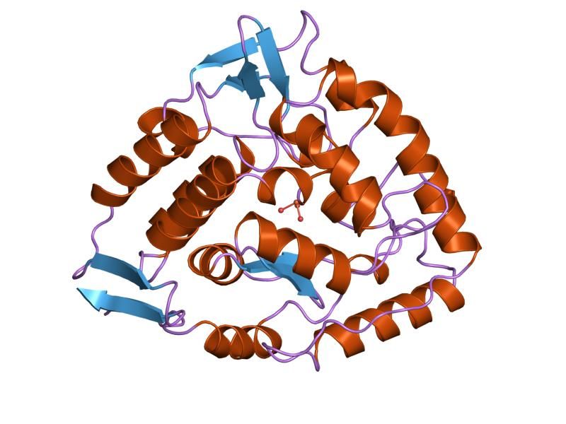 File:PDB 1pah EBI.jpg