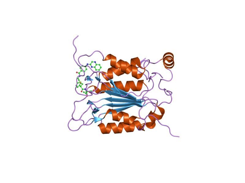 File:PDB 1rwo EBI.jpg