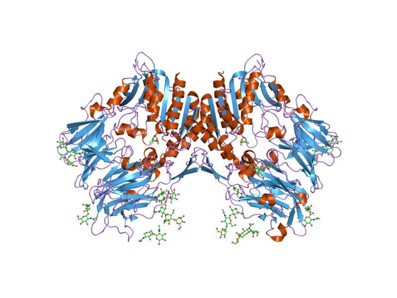 File:PDB 1tkr EBI.jpg