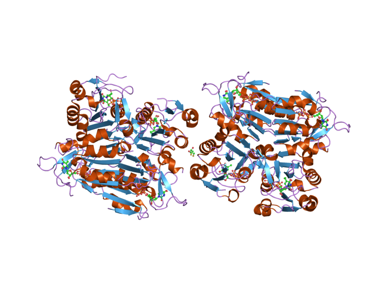 File:PDB 1w4r EBI.png