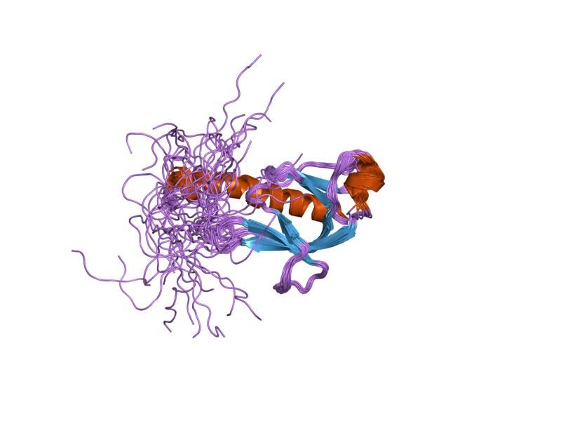 File:PDB 1wg7 EBI.jpg