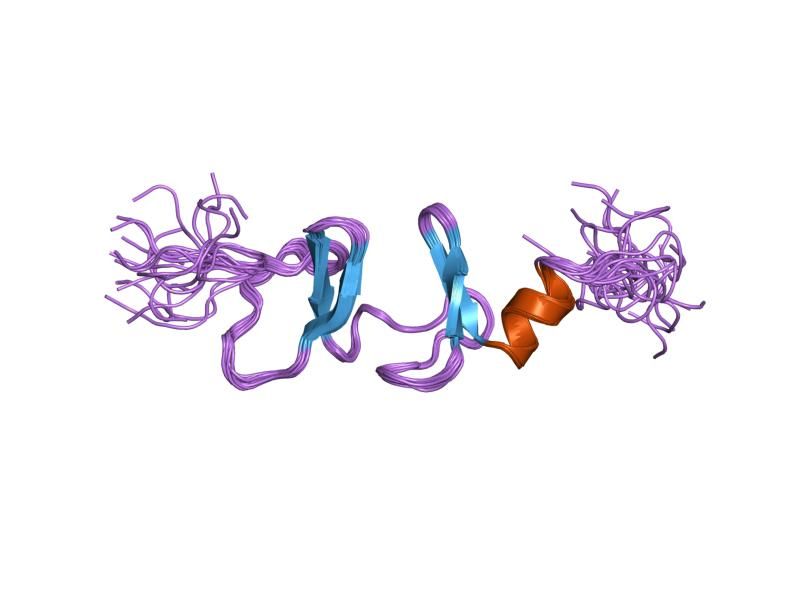 File:PDB 1x4k EBI.jpg