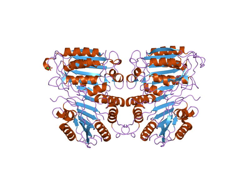 File:PDB 2ar9 EBI.png