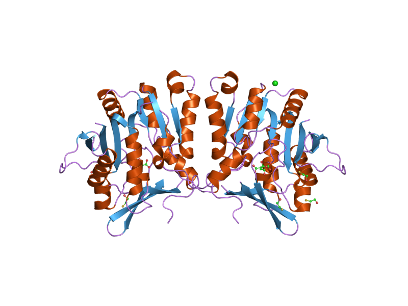 File:PDB 2azt EBI.png