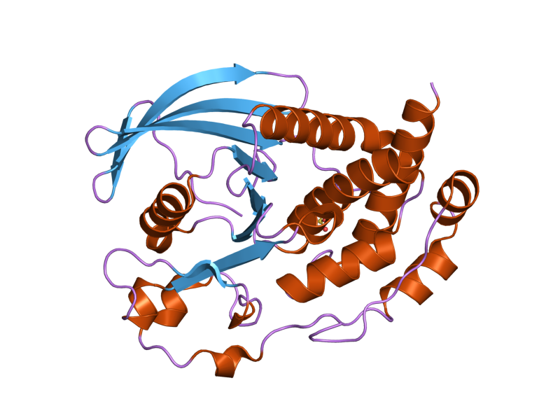 File:PDB 2bij EBI.png