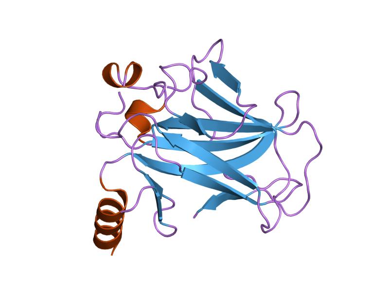 File:PDB 2bip EBI.png