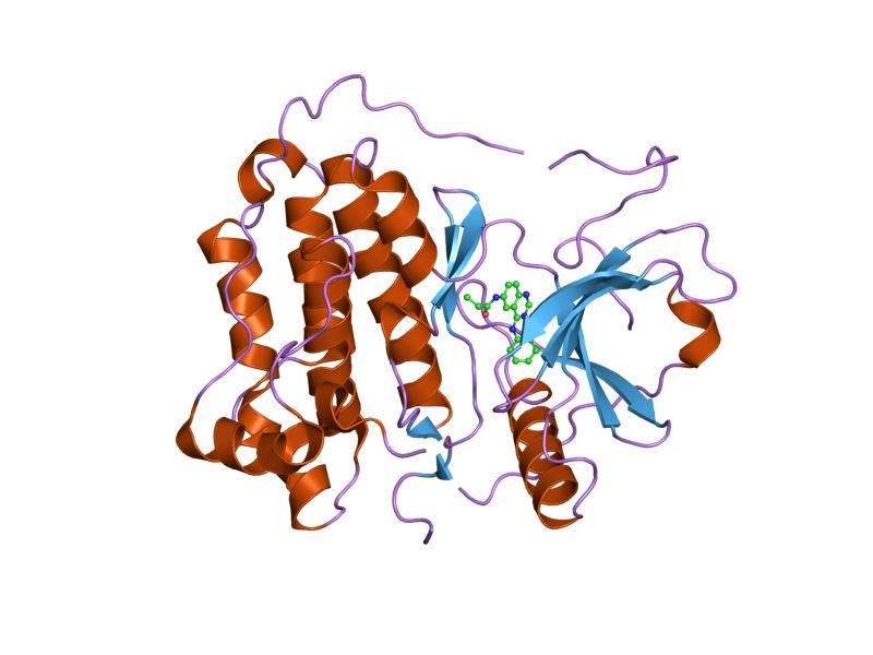 File:PDB 2j5f EBI.jpg