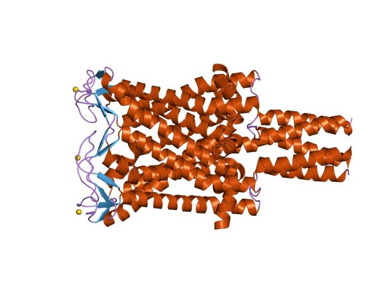 File:PDB 2oar EBI.jpg