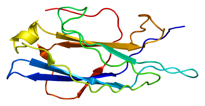 File:Protein RIMS2 PDB 1v27.png