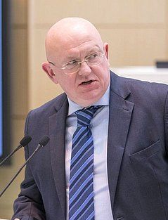 File:Vassily Nebenzya Dec. 2016 cropped.jpg