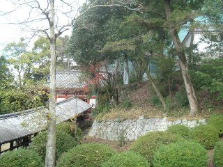 File:Kibutsu Shrine, Okayama, surounding forest.jpg