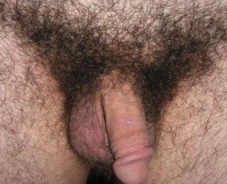 File:Man's pubic hair.jpg