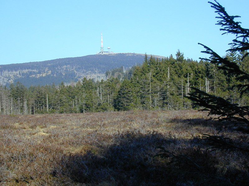 File:Nationalpark-harz.jpg