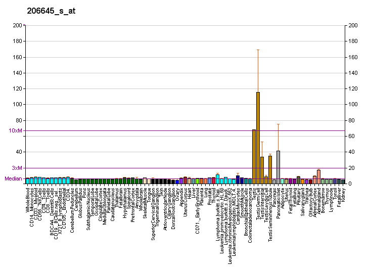 File:PBB GE NR0B1 206645 s at fs.png