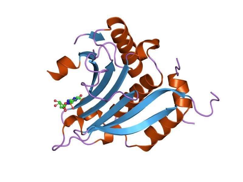 File:PDB 1ej4 EBI.jpg