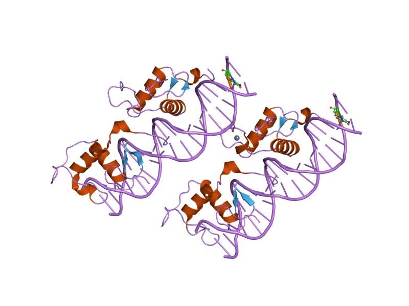 File:PDB 1ga5 EBI.jpg