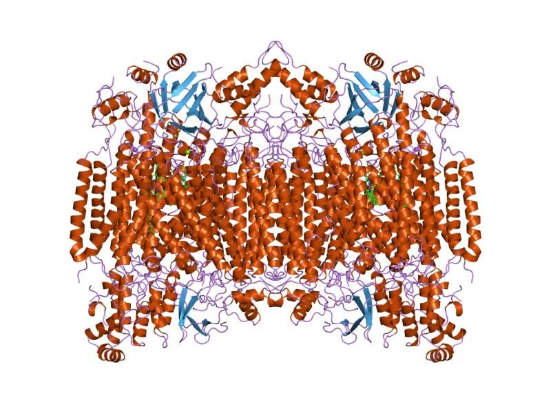 File:PDB 1oco EBI.jpg