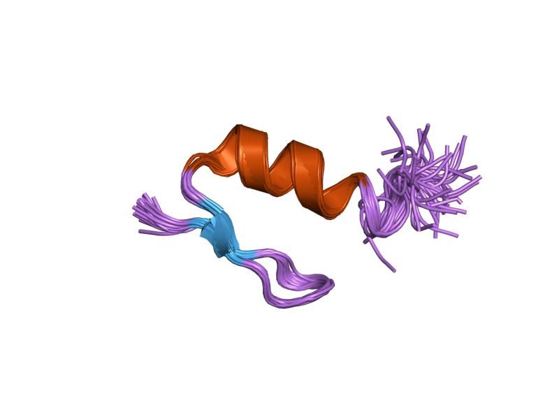 File:PDB 1xf7 EBI.jpg