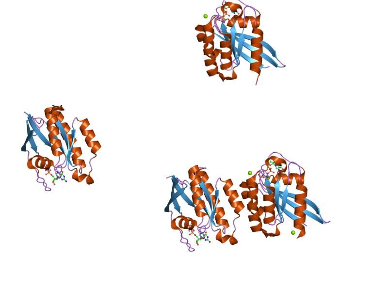 File:PDB 1z08 EBI.jpg