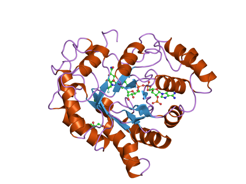 File:PDB 2agt EBI.png