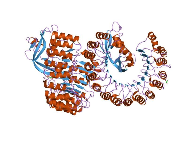 File:PDB 2bex EBI.jpg