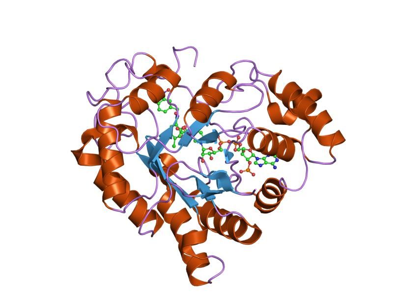 File:PDB 2ikj EBI.jpg