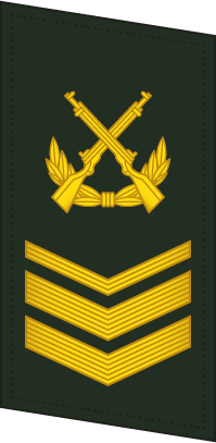 File:PLAGF-Collar-0707-3CSGT.png