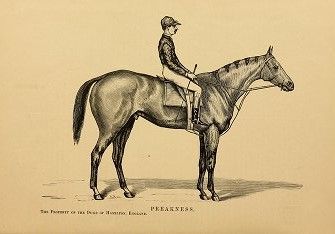 File:Preakness.jpg