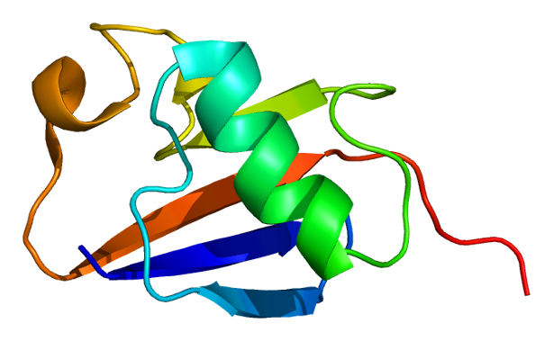 File:Protein PARK2 PDB 1iyf.png