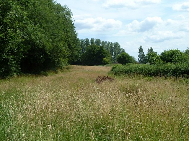 File:Strip of grassland (geograph 4575239).jpg