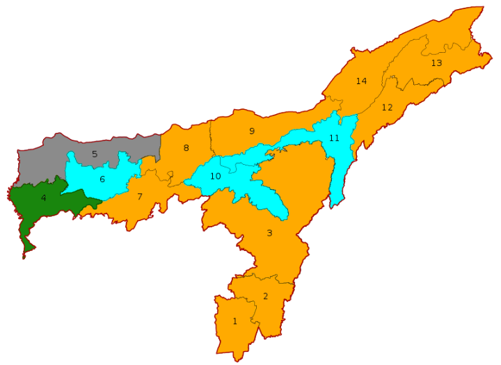 File:Assam Lok Sabha election result 2019.png