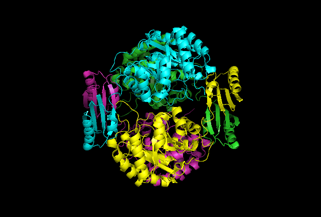 File:DAHP synthase cartoon quartenary structure.png