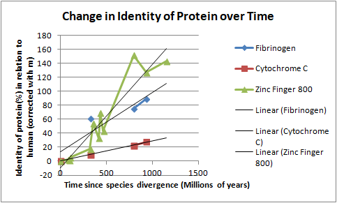 File:Graph of divergence of ZNF800 Orthologs.png