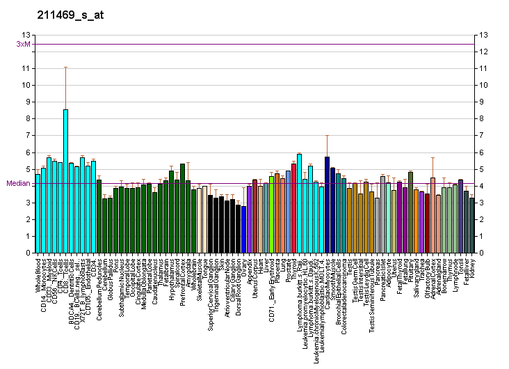 File:PBB GE CXCR6 211469 s at fs.png