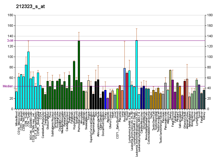 File:PBB GE VPS13D 212323 s at fs.png