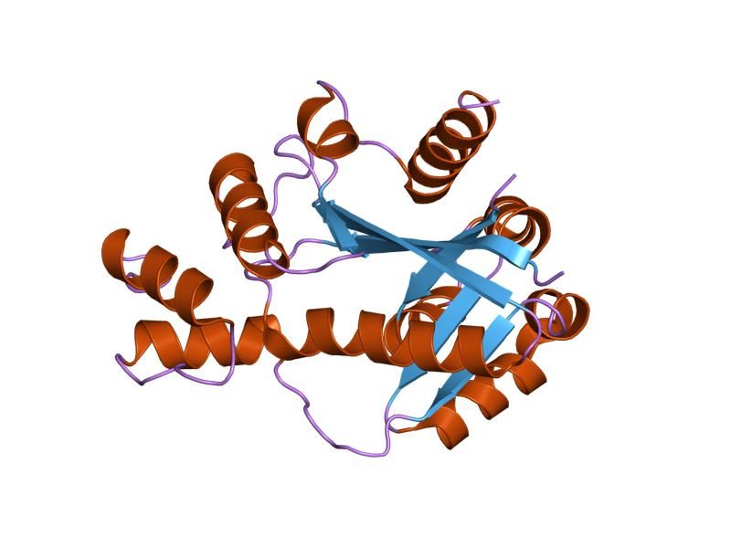 File:PDB 1kku EBI.jpg