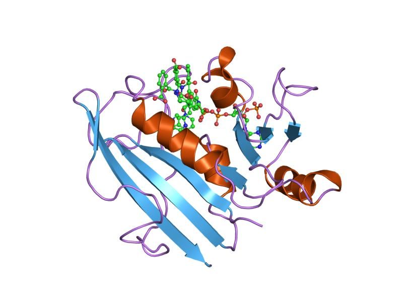 File:PDB 1ohk EBI.jpg