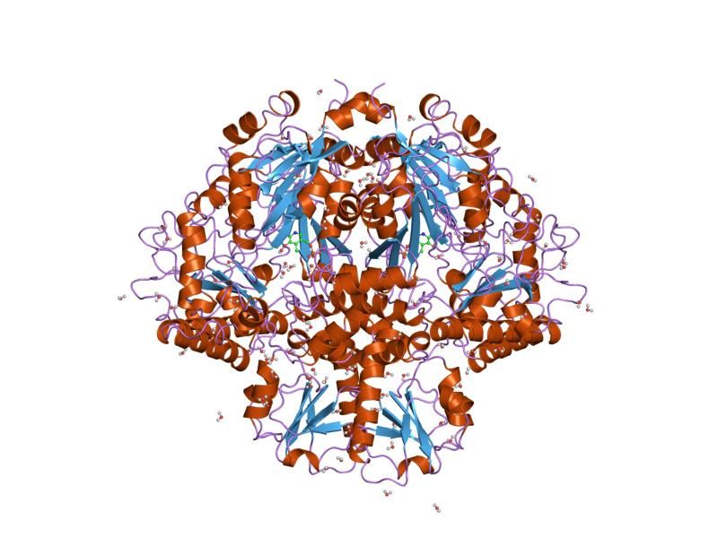 File:PDB 1ord EBI.jpg