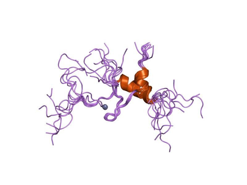 File:PDB 1q68 EBI.jpg