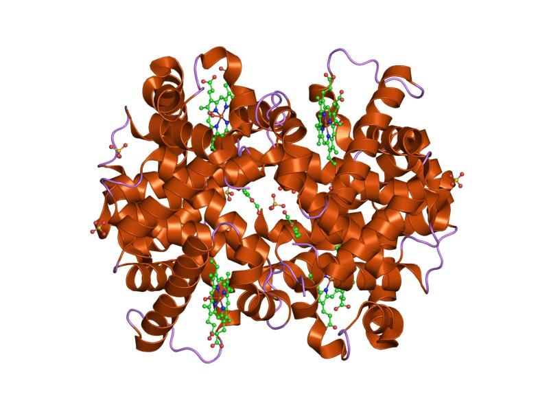 File:PDB 1qxe EBI.jpg