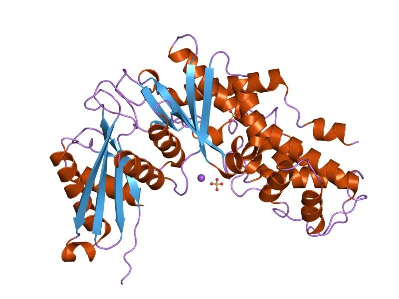 File:PDB 1v4t EBI.jpg