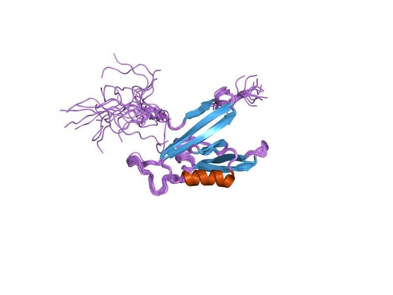 File:PDB 1wfg EBI.jpg