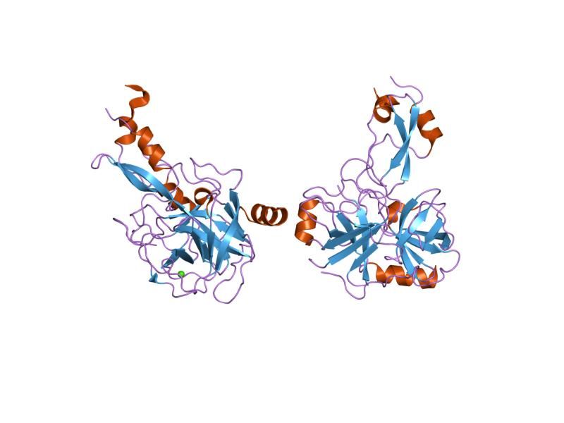 File:PDB 1zr0 EBI.jpg