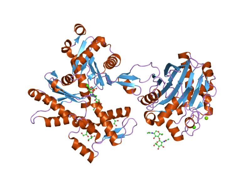 File:PDB 2a42 EBI.jpg