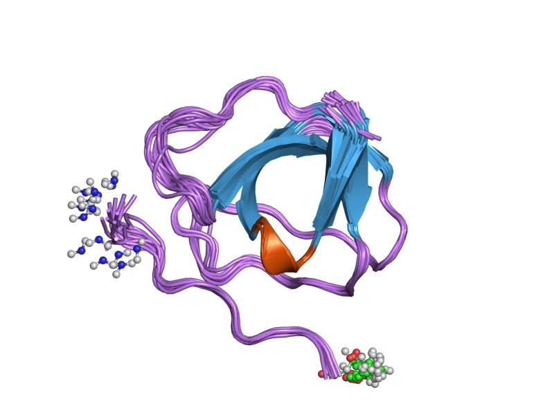 File:PDB 2gbq EBI.jpg