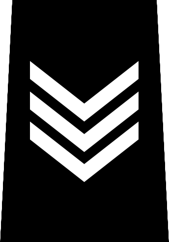 File:Vancouver Police - Sergeant.png