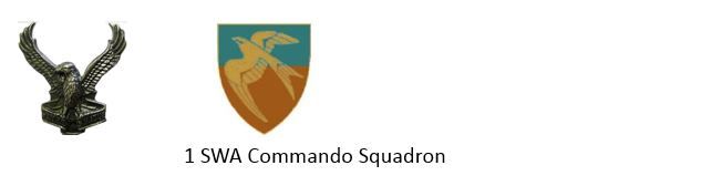 File:1 SWATF Commando Squadron.jpg