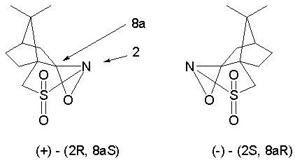 File:Camphorsulfonyl oxaziridine.png