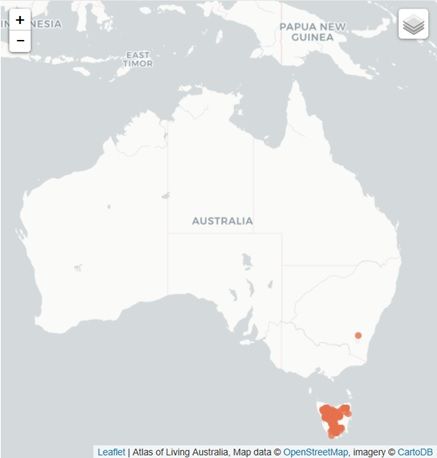 File:Distribution of Rubus gunnianus.jpg