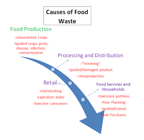 File:Food Waste Process.png